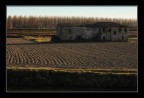Vecchio casone nel Delta Vecchio casone nel Delta