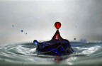 splash splash