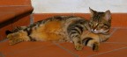 Kiki al sole Kiki al sole