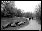 Passeggiata... in una giornata uggiosa Passeggiata... in una giornata uggiosa
