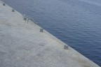 geometrie geometrie