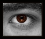 eye