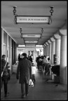 indicazioni indicazioni