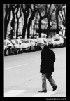 I Walk Alone I Walk Alone