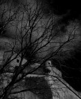 ombre del passato 11 ombre del passato 11