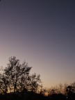 cielo di città cielo di città