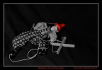 Disillusion: the end of my dreams Disillusion: the end of my dreams