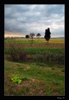 A Campo A Campo