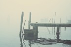 Nella nebbia 04 Nella nebbia 04