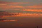 Alba Rossa Alba Rossa