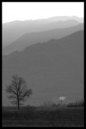 colline colline
