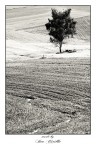 ...ora è solo in bn...;) ...ora è solo in bn...;)