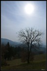 Sole negli occhi Sole negli occhi