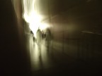 I can see the light I can see the light