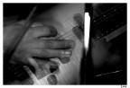 Musica Musica