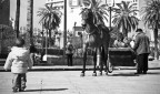 insoliti incontri in strada insoliti incontri in strada