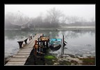 Colori nella nebbia Colori nella nebbia