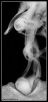Smoke Smoke