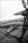 (reportage) natura morta la mare (reportage) natura morta la mare