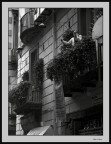 Irrefrenabile passione canora