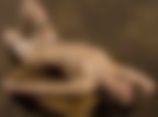 sex sex
