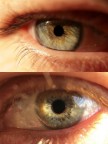 Green eyes Green eyes
