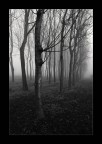 Ancora Nebbia Ancora Nebbia
