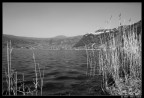 Lago di Nemi B/N #1 Lago di Nemi B/N #1