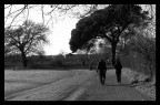 Rallentiamo un pò Rallentiamo un pò