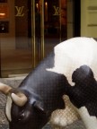 Cow LV Cow LV