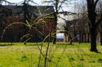 contro luce