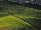 Verdi colline Verdi colline
