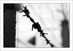Dachau 01 Dachau 01