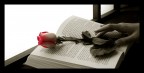 Ti aspetterò con una rosa tra un libro Ti aspetterò con una rosa tra un libro