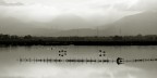 Panorama stagno con fenicotteri Panorama stagno con fenicotteri