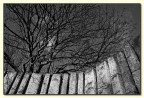 Park Park
