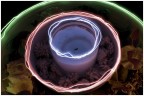 Lightpainting e natura morta Lightpainting e natura morta