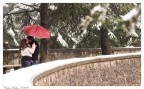 La neve scalda i cuori... La neve scalda i cuori...