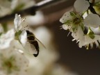 è primavera...al lavoro è primavera...al lavoro