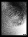 Vortice? Vortice?