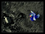 Le Prime Forme di Vita Intelligenti sulla Luna Le Prime Forme di Vita Intelligenti sulla Luna