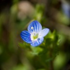 Altra prova di domenica