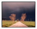 ...La Strada... ...La Strada...