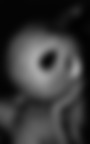 Horror vacui Horror vacui