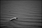 sand stories sand stories