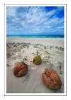 caribbean beach caribbean beach