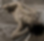 900 900