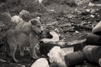 Un mini reportage su dei cuccioli abbandonati in una discarica.

Quentin.