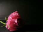 si va per tentativi si va per tentativi