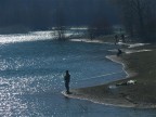 pesca d'argento in blu pesca d'argento in blu